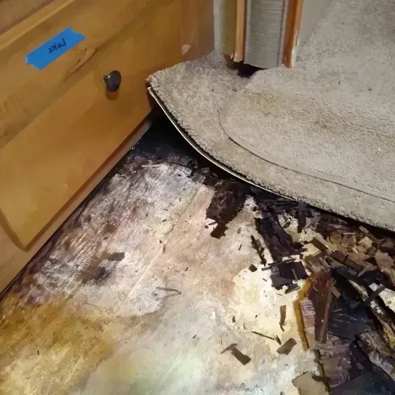 Wood Floor Water Damage in Brown Deer, WI